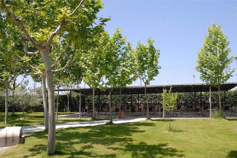 Centro asistencial para personas mayores Medinaceli — foto 2