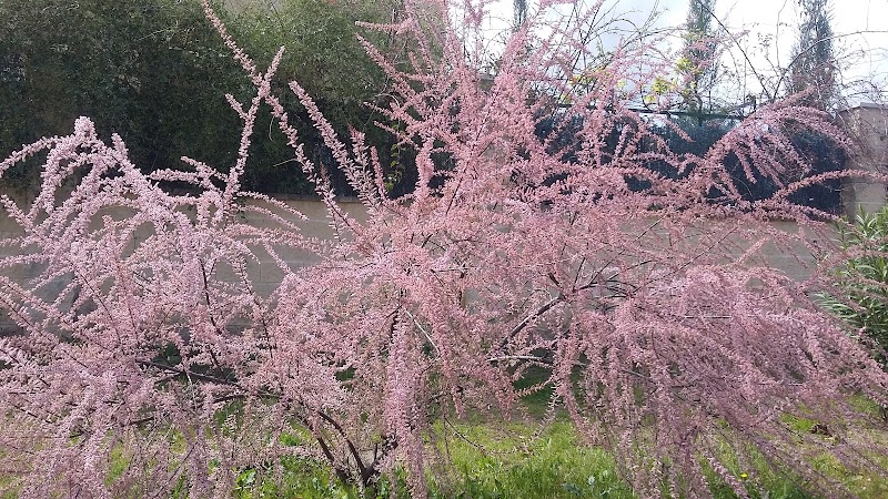 Residencia de mayores Altos de Viñagrande — foto 3
