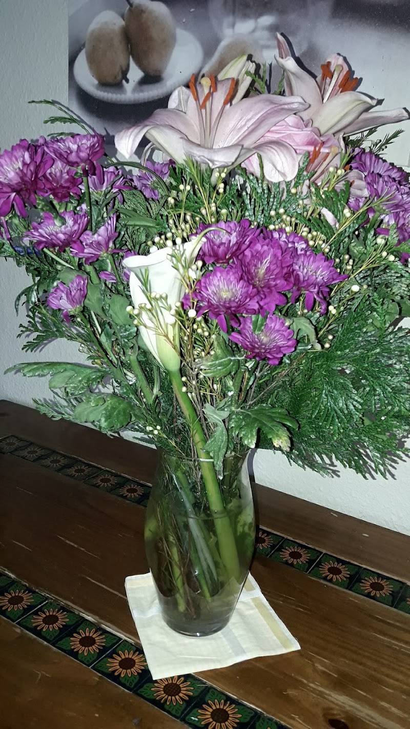 Residencia Río Holanda — foto 3