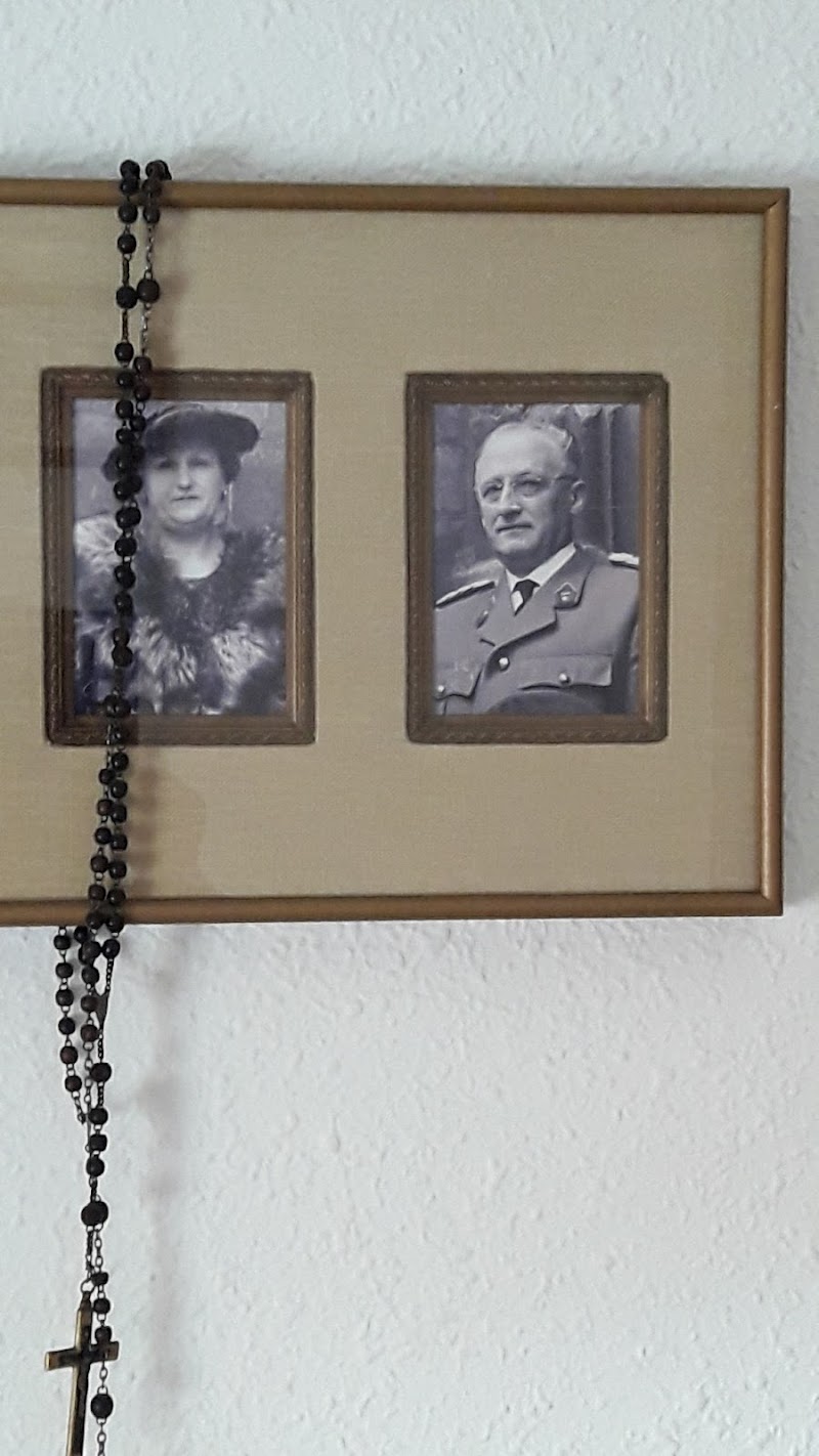 Residencia Río Holanda — foto 4