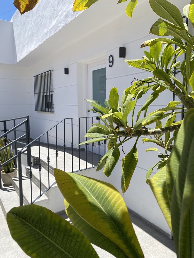 Residencia Donegal — foto 5