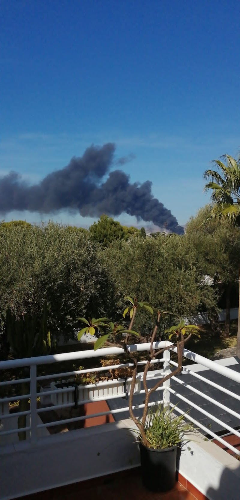 Residencia Monsalve — foto 4