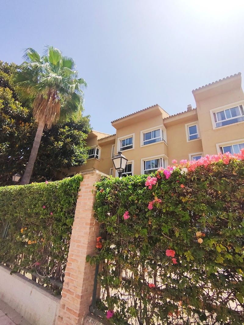 Málaga DomusVi Azalea — foto 10