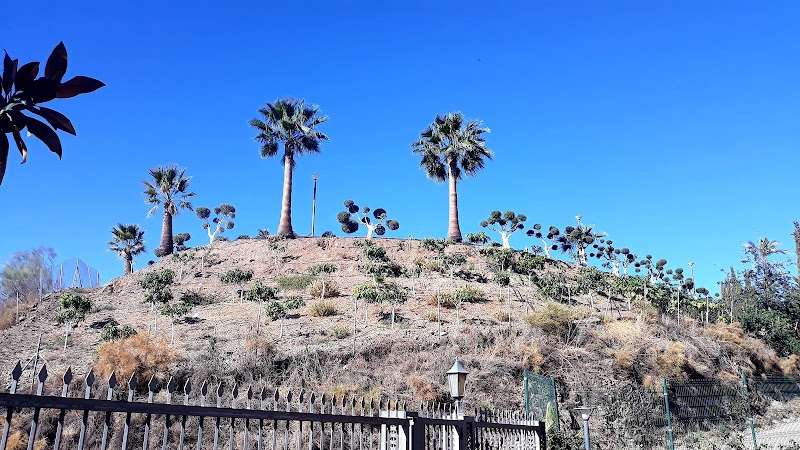 Orpea Málaga — foto 6