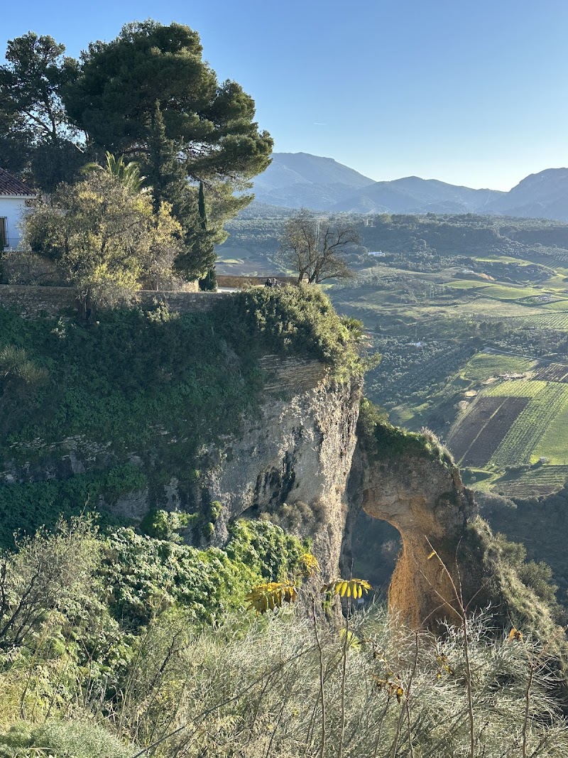 Residencia de personas mayores Hermanitas de los Pobres — foto 4