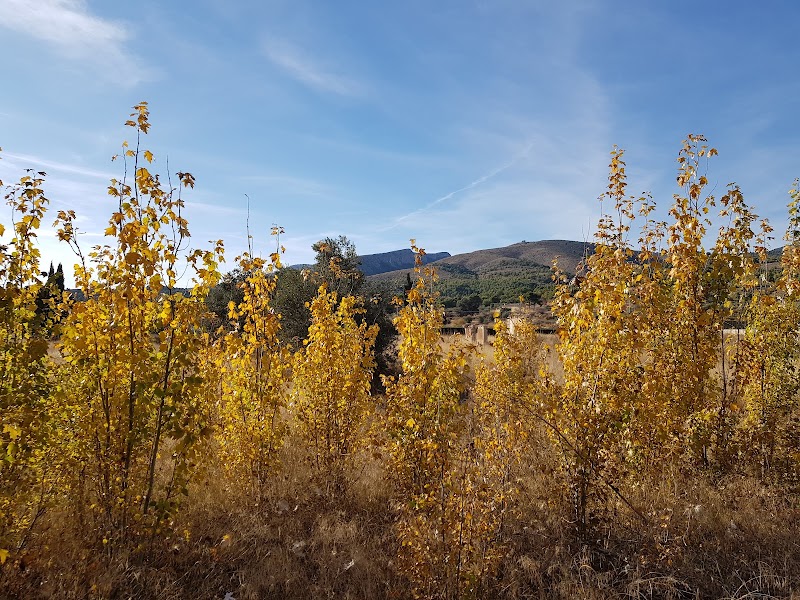 Residencia de 3ª edad Desamparados Santísima Vera Cruz — foto 2
