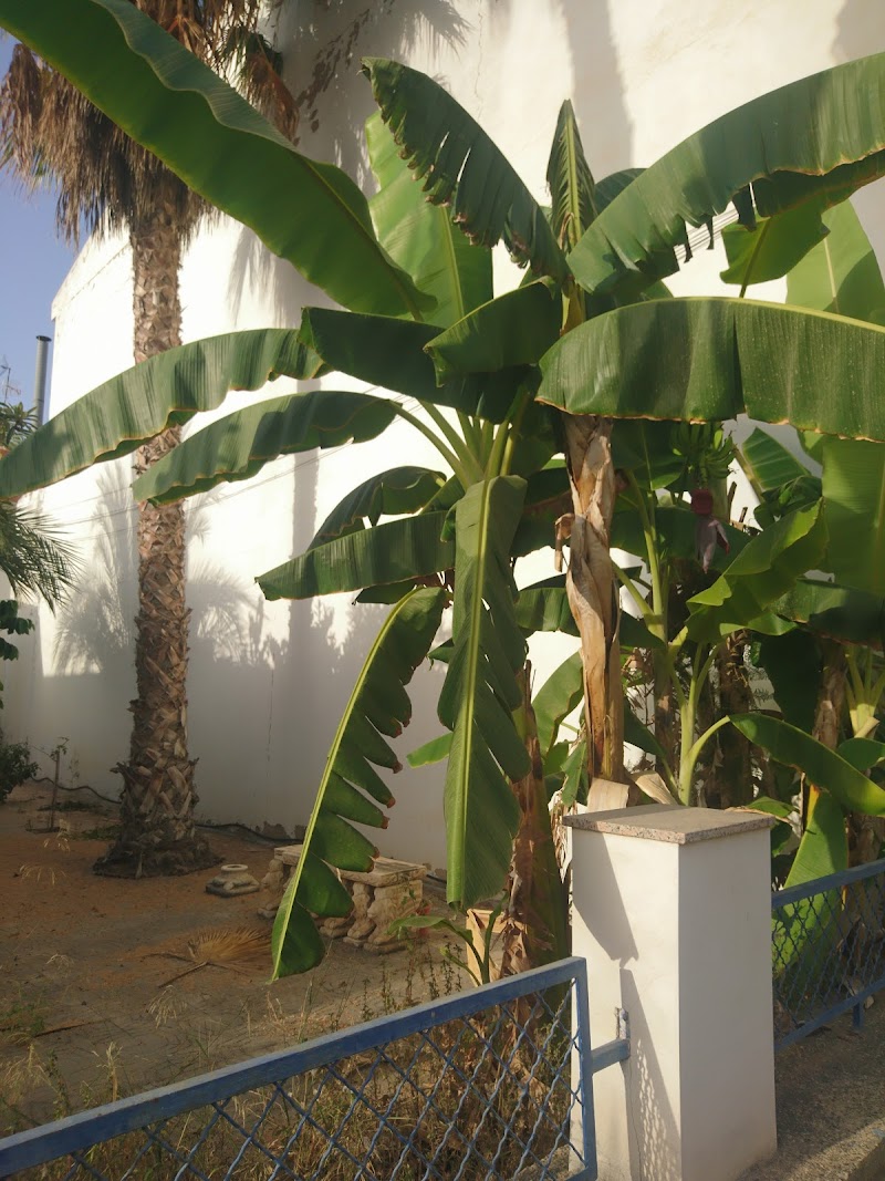 Residencia Virgen del Mar — foto 2