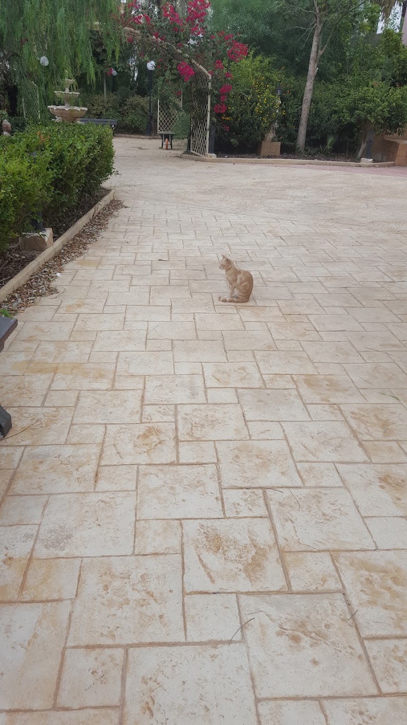 Residencia Virgen del Mar — foto 3