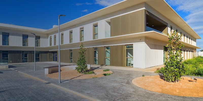 Clece Vitam Carmen Conde — foto 1