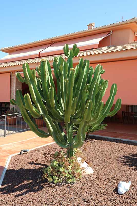 Residencia El Molino — foto 6