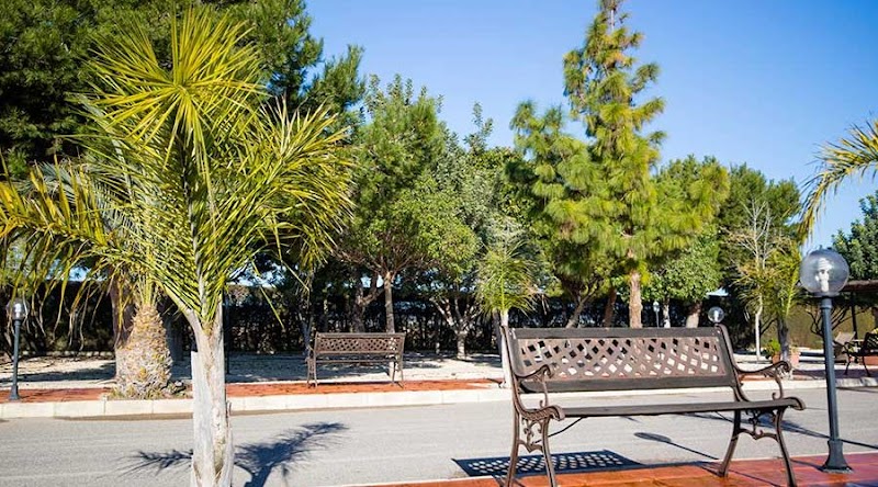 Residencia El Molino — foto 10