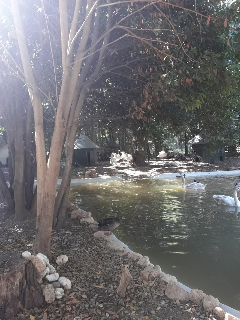 Fundación Carmen Bellido - Residencia de ancianos