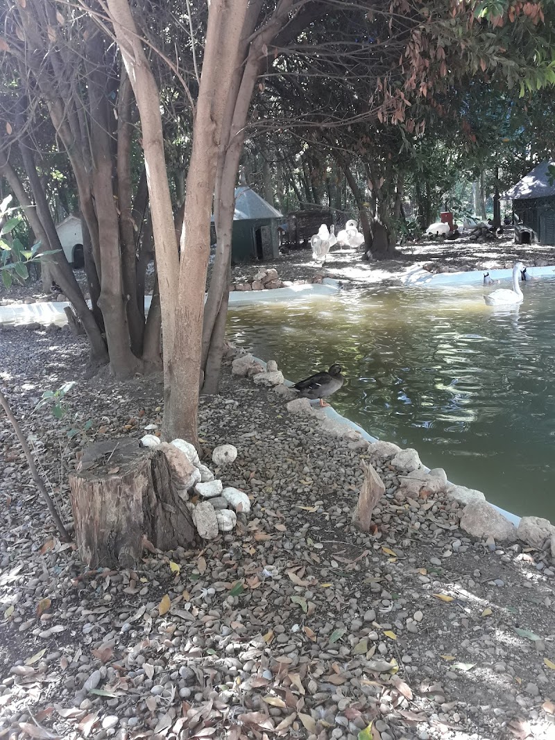 Fundación Carmen Bellido - Residencia de ancianos — foto 5