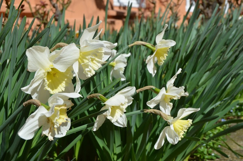 Casa de Misericordia Pamplona — foto 9