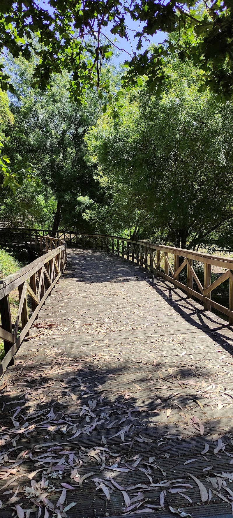 Residencia Arnoia - Nuestra Señora del Socorro — foto 4