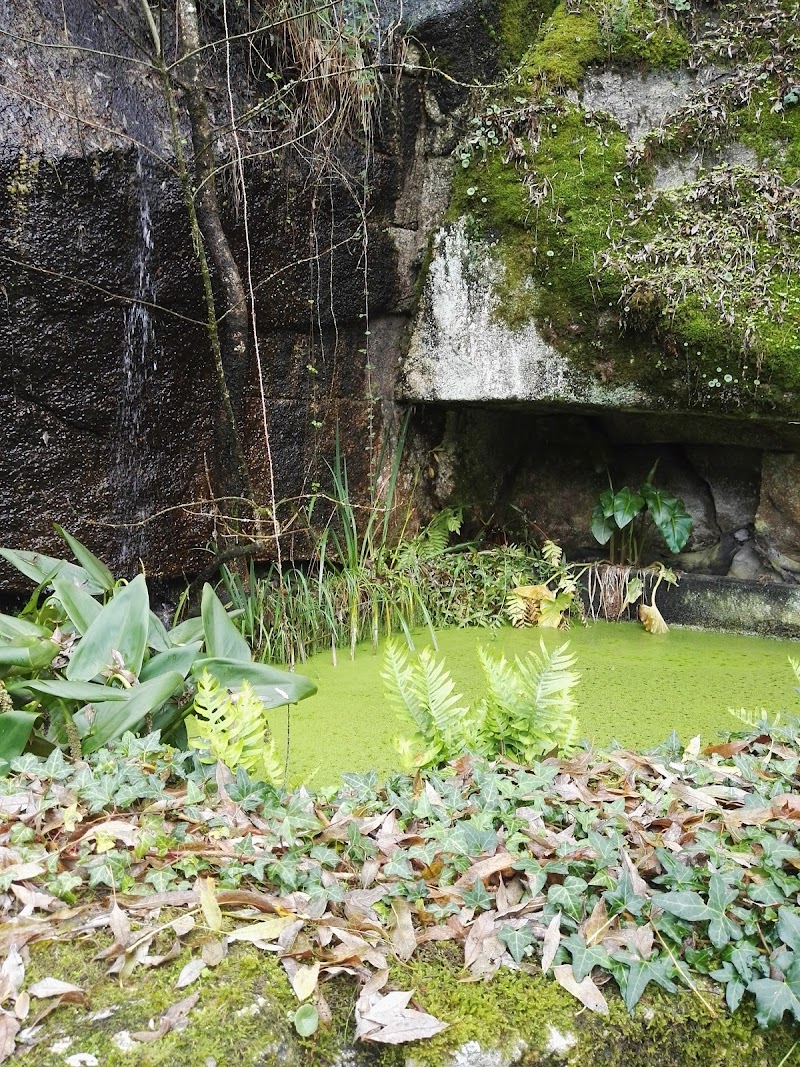 Residencia Arnoia - Nuestra Señora del Socorro — foto 5