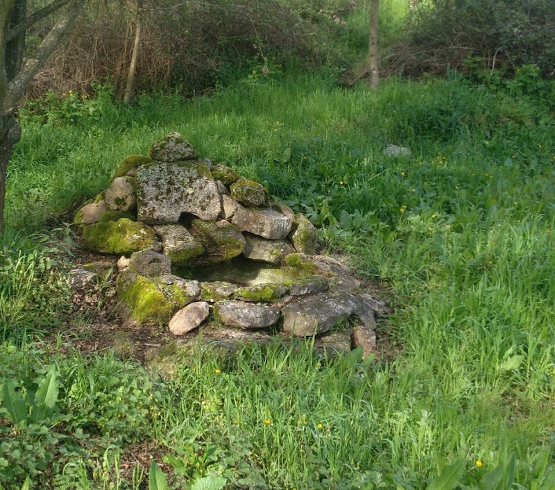 Residencia Arnoia - Nuestra Señora del Socorro — foto 6