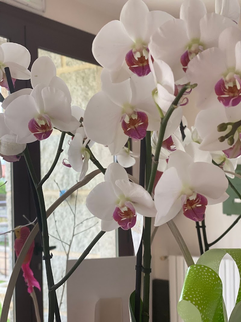 Fogar y Vivienda comunitaria Sampedro — foto 8