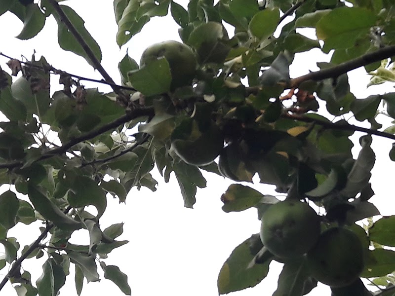 Apartamentos tutelados Alfredo Romero — foto 2