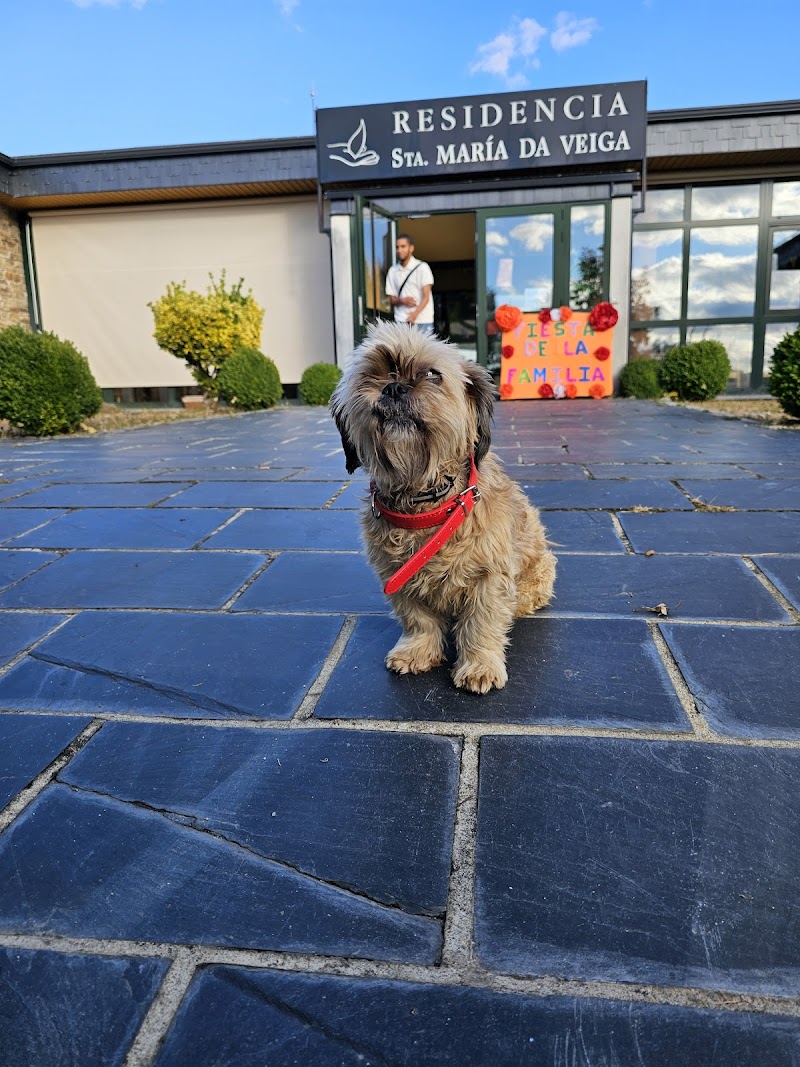 Residencia Santa María da Veiga — foto 4