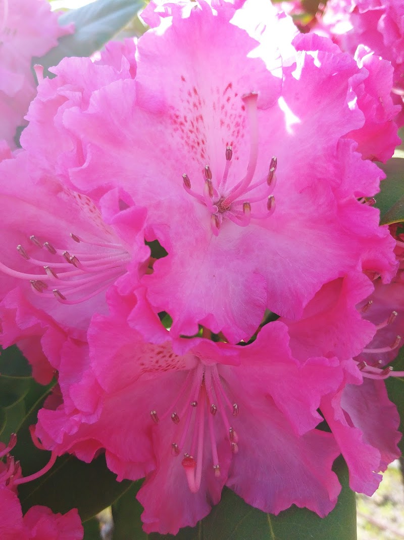 Residencia da 3ª idade Nosa Señora do Rosario — foto 3