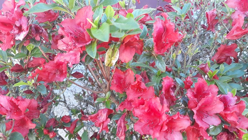 Residencia da 3ª idade Nosa Señora do Rosario — foto 4