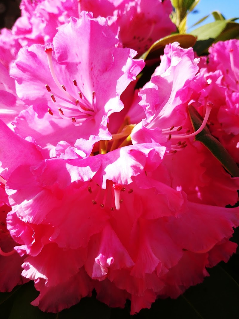 Residencia da 3ª idade Nosa Señora do Rosario — foto 8