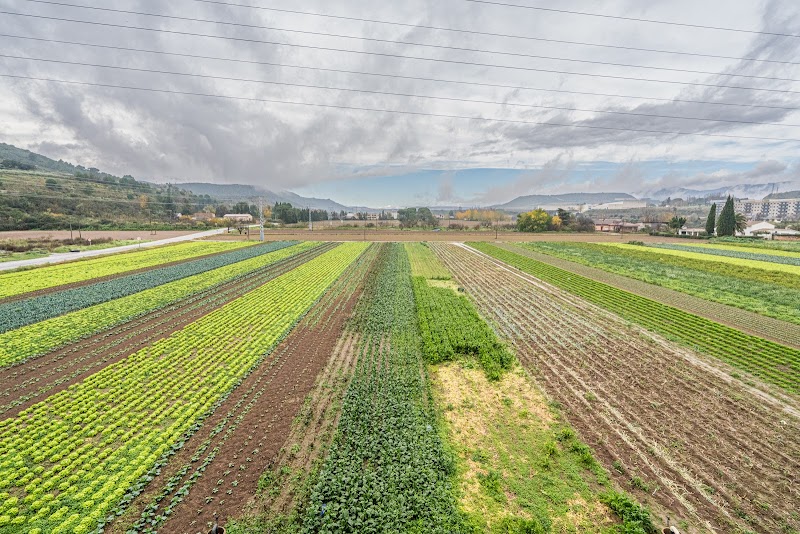 Emera Monte Rincón — foto 10