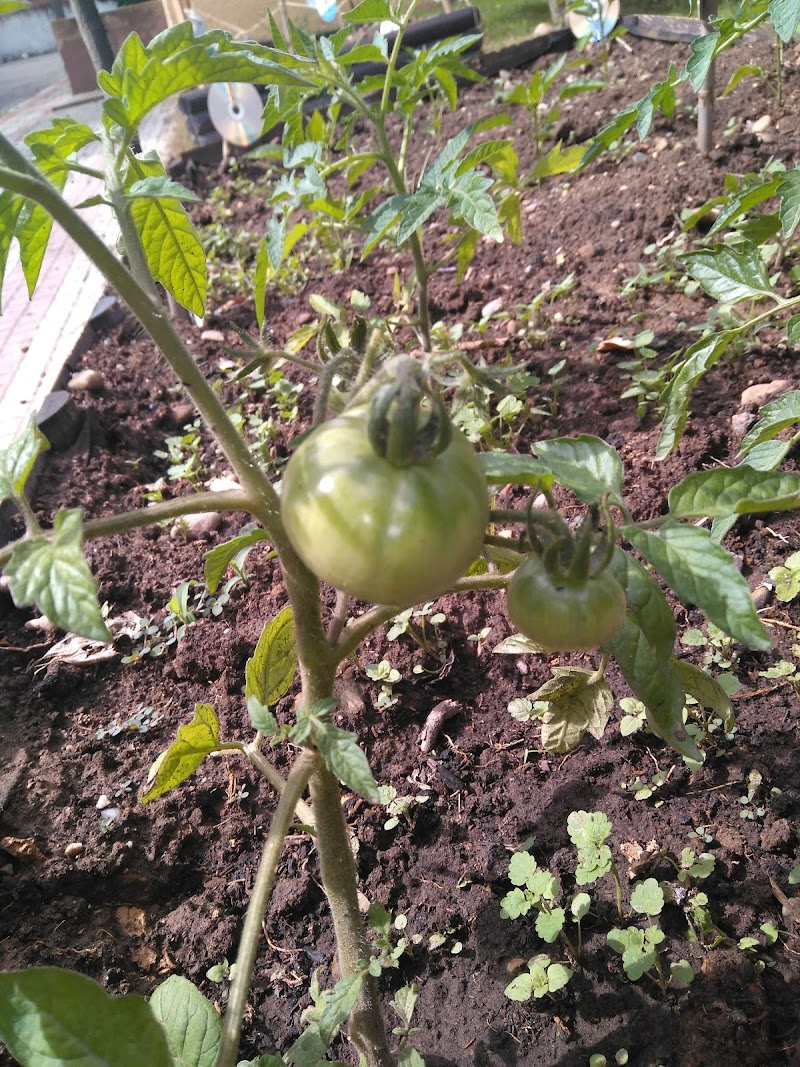 Orpea Logroño — foto 7