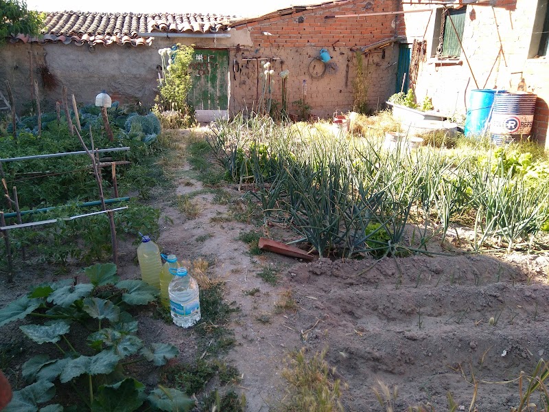 Residencia de personas mayores Alaraz — foto 10