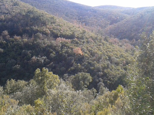 Hogar Residencia El Buen Pastor — foto 7