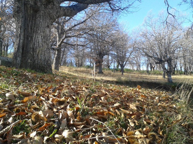 Hogar Residencia El Buen Pastor — foto 8