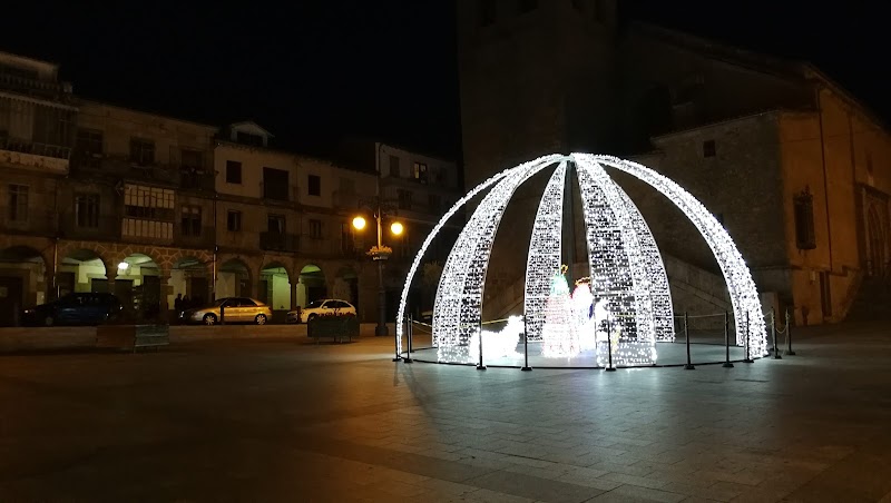 Residencia de mayores Mamá Margarita — foto 5