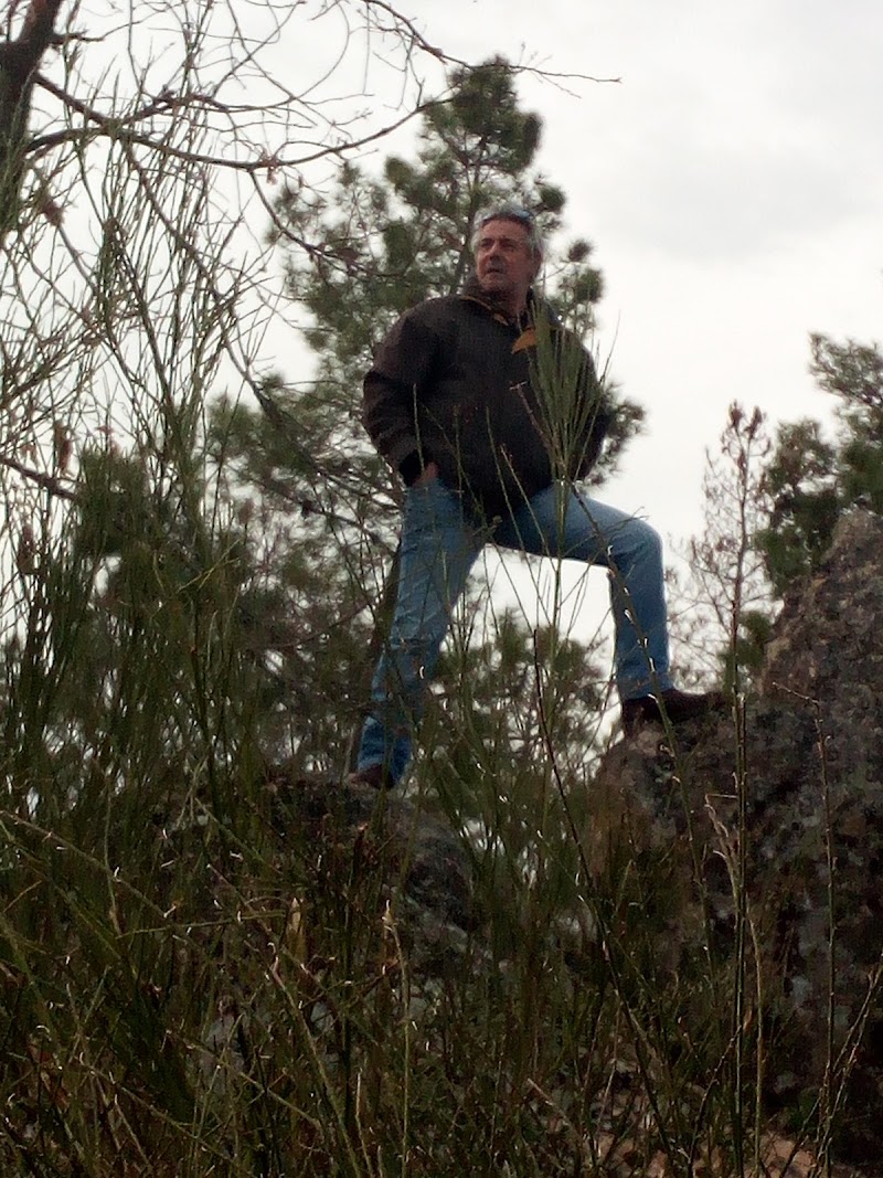 Residencia La Divina Pastora — foto 5