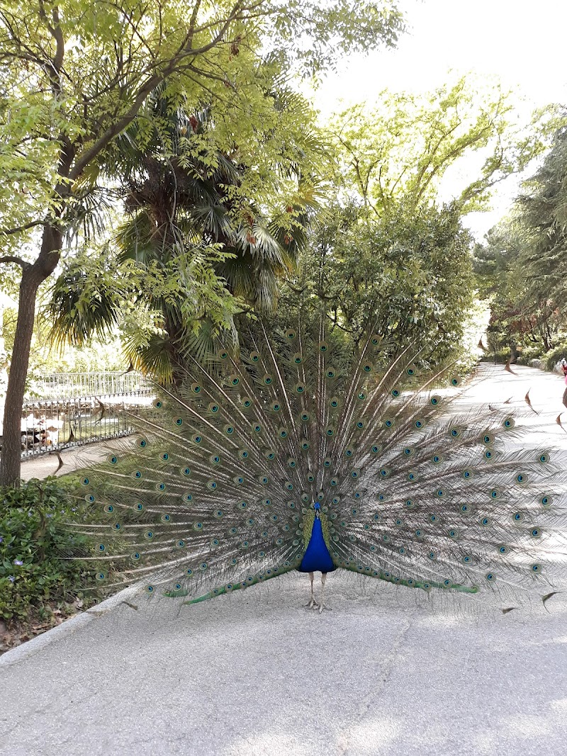 Residencia de mayores San José