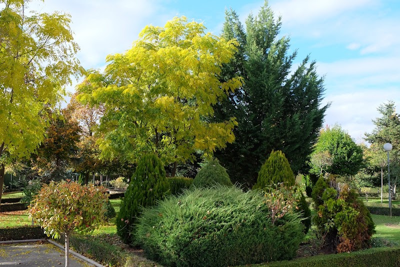 Residencia Hijas de San Camilo — foto 7