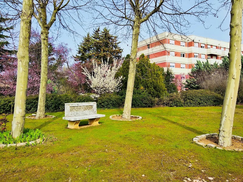 Colisée Santa Marta