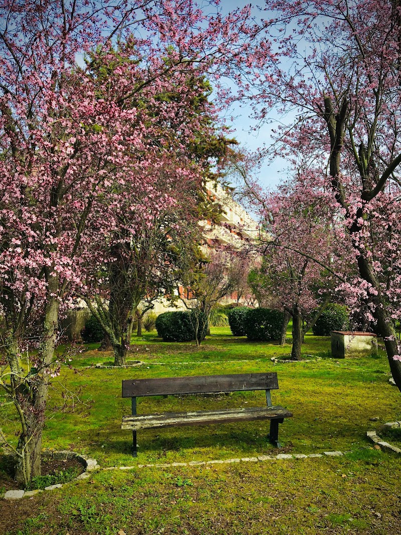 Colisée Santa Marta — foto 4