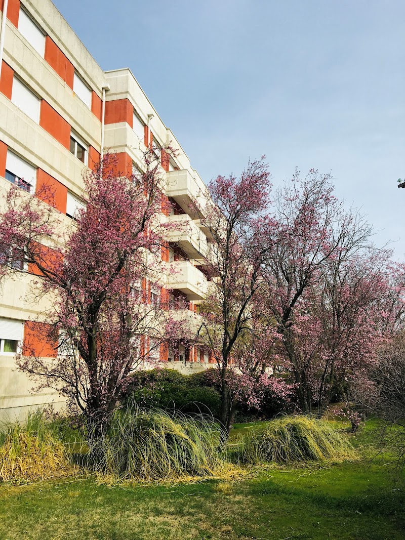 Colisée Santa Marta — foto 9