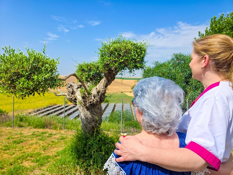 Vitalia La Campana — foto 5