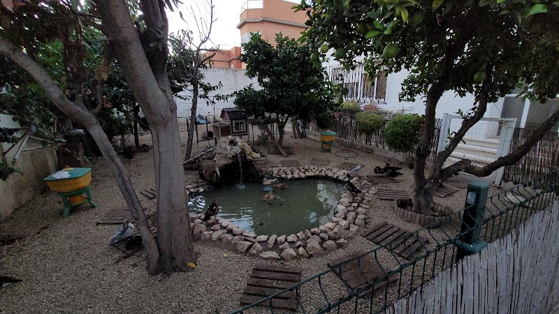 Residencia de ancianos El Gran Poder, S. L. — foto 1