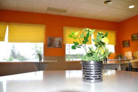 Espartinas Geriátrico — foto 9