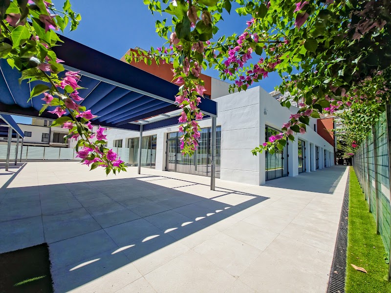 Vitalia Kansas — foto 7