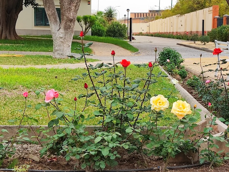 Asilo de Ancianos - Hermanitas de los Pobres — foto 3