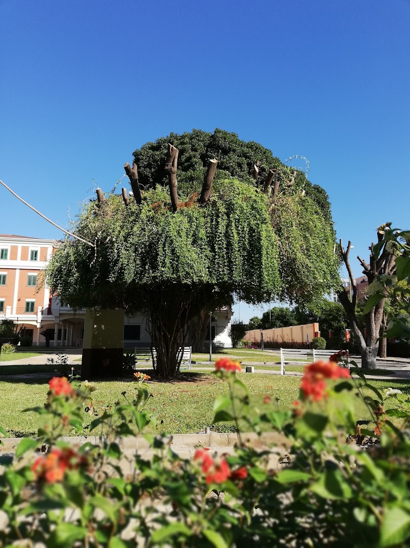 Asilo de Ancianos - Hermanitas de los Pobres — foto 4