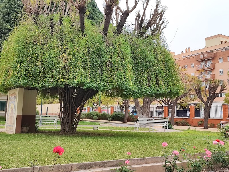 Asilo de Ancianos - Hermanitas de los Pobres — foto 6