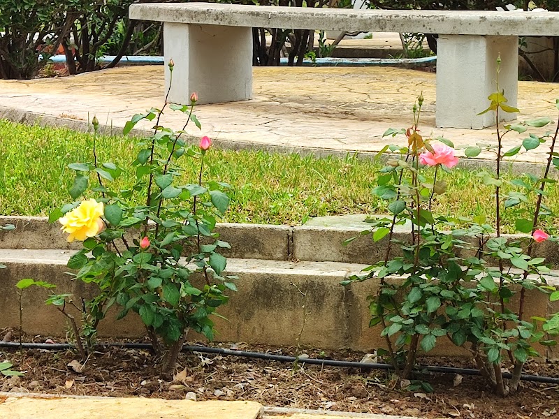 Asilo de Ancianos - Hermanitas de los Pobres — foto 10