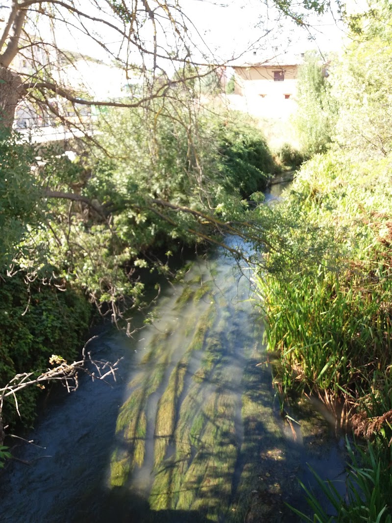 Residencia Sagrada Familia — foto 3