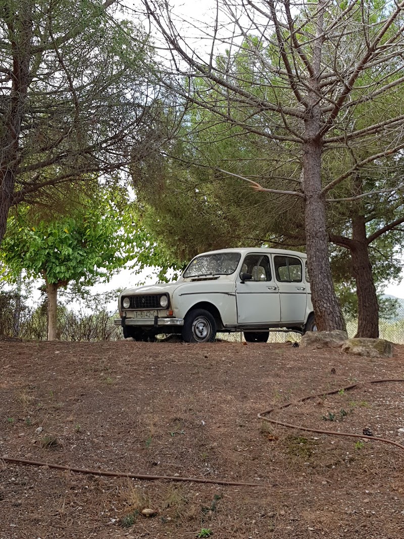 Llar d'avis La Mimosa — foto 6