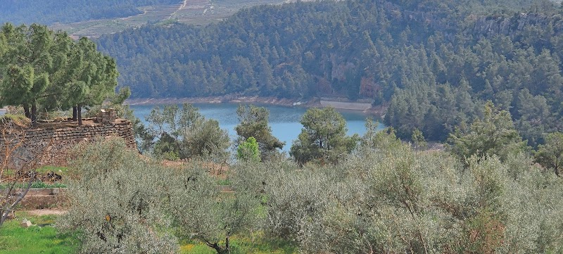 Geriàtric Guiamets — foto 1